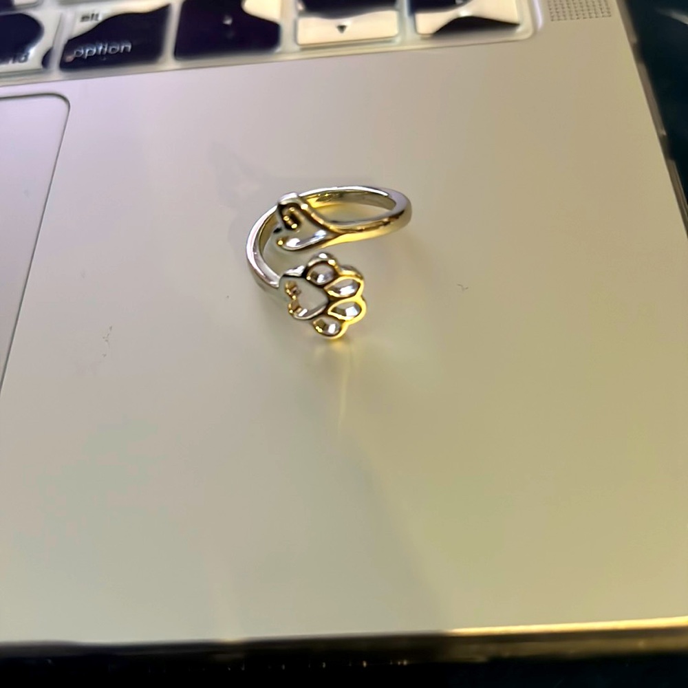 Sliver Ring